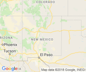 NEW MEXICO Map